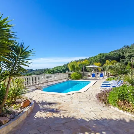 Club Villamar - Pollino *